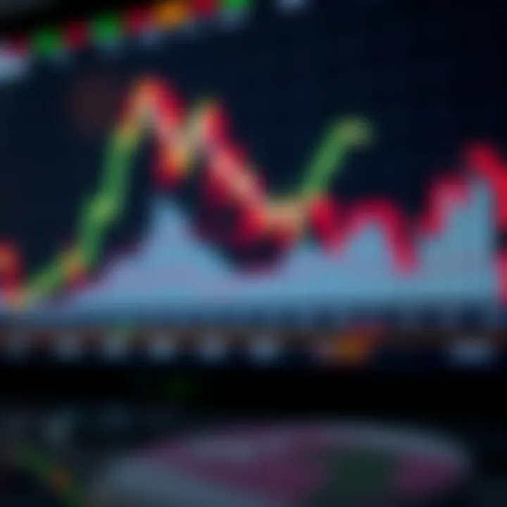 Understanding Forex Demo Accounts for SA Traders Understanding Forex Demo Accounts for SA Traders